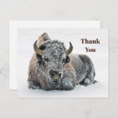 Wildlife Buffalo Sneeuw Foto Bedankt Briefkaart (Voorkant / Achterkant)