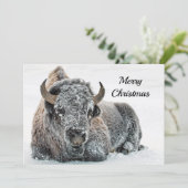 Wildlife Buffalo Sneeuw Foto Kerst Flat Feestdagenkaart (Staand voorkant)