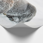 Wildlife Buffalo Sneeuwfoto Cadeaupapier (Hoek)