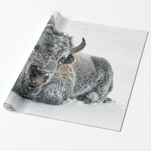 Wildlife Buffalo Sneeuwfoto Cadeaupapier