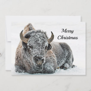 Wildlife Buffalo Sneeuwfoto met kerstmis Feestdagenkaart