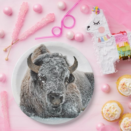 Wildlife Buffalo Sneeuwfoto Papieren Bordje (Feest)
