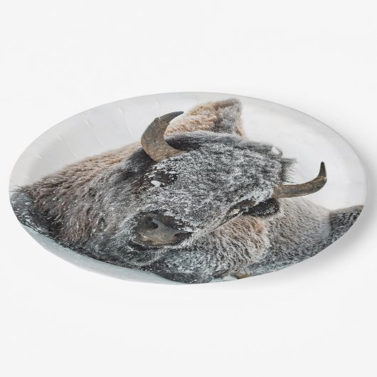 Wildlife Buffalo Sneeuwfoto Papieren Bordje (Gekanteld)
