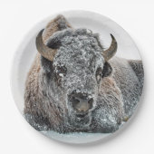 Wildlife Buffalo Sneeuwfoto Papieren Bordje (Voorkant)