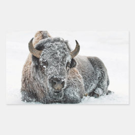 Wildlife Buffalo Sneeuwfoto Rechthoekige Sticker