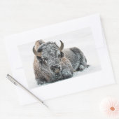 Wildlife Buffalo Sneeuwfoto Rechthoekige Sticker (Envelop)