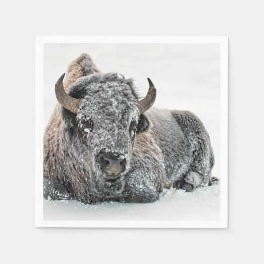Wildlife Buffalo Sneeuwfoto Servet (Voorkant)