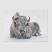 Wildlife Buffalo Sneeuwfoto Tissuepapier (Voorkant)