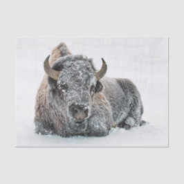 Wildlife Buffalo Sneeuwfoto Tissuepapier