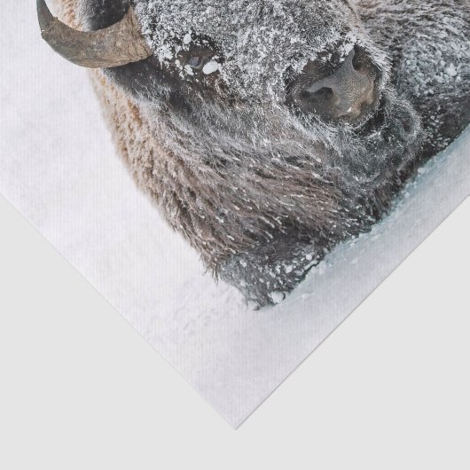 Wildlife Buffalo Sneeuwfoto Tissuepapier (Detail)