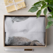 Wildlife Buffalo Sneeuwfoto Tissuepapier (Geschenk)