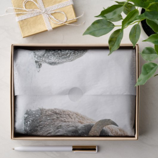 Wildlife Buffalo Sneeuwfoto Tissuepapier (Geschenk)