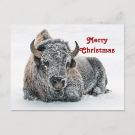 Wildlife Buffalo Sneeuwfotokerst Briefkaart