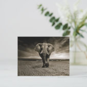 Wildlife Bull Elephant Photo Briefkaart (Staand voorkant)