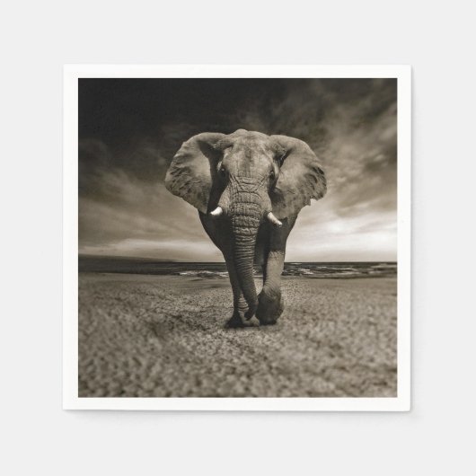 Wildlife Bull Elephant Photo Servet (Voorkant)