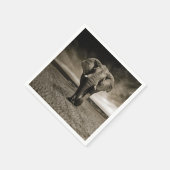 Wildlife Bull Elephant Photo Servet (Hoek)