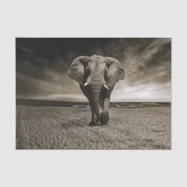 Wildlife Bull Elephant Photo Tissuepapier