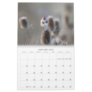 Wildlife Calendar 2022 Verenigd Koninkrijk Kalender