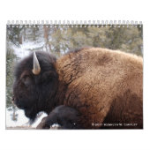 Wildlife Calendar Kalender (Hoes)