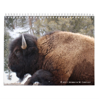 Wildlife Calendar Kalender