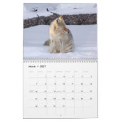 Wildlife Calendar Kalender (Mar 2027)