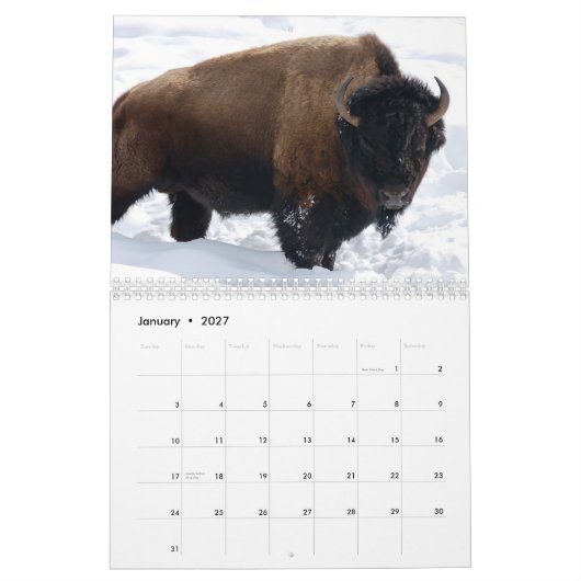 Wildlife Calendar Kalender (Jan 2027)