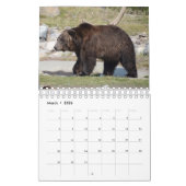 Wildlife Calendar Kalender (Mar 2026)