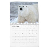 Wildlife Calendar Kalender (Jan 2026)
