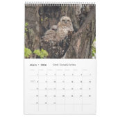 Wildlife Calendar Kalender (Mar 2026)