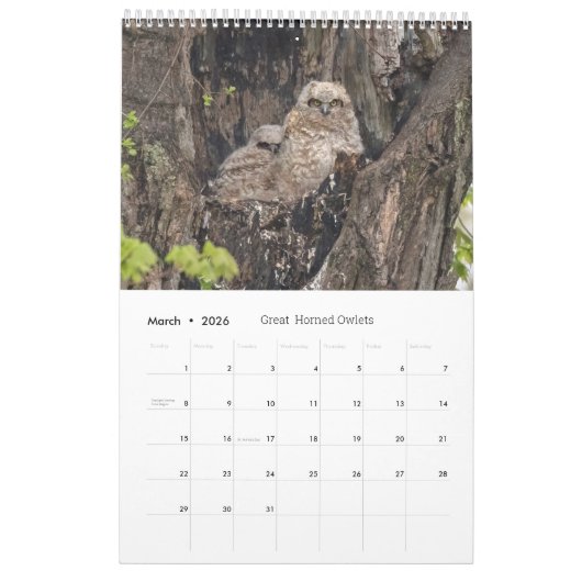 Wildlife Calendar Kalender (Mar 2026)
