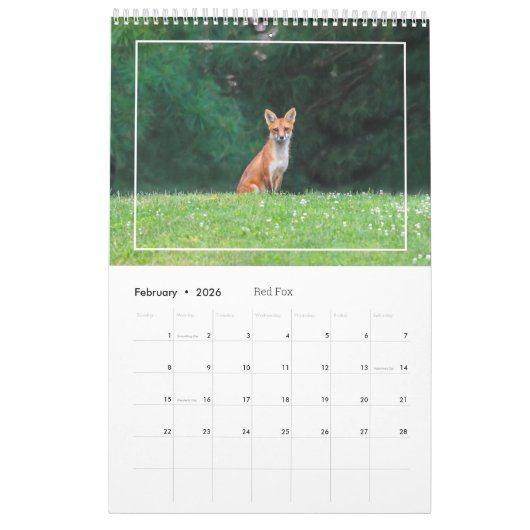 Wildlife Calendar Kalender (Feb 2026)