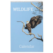 Wildlife Calendar Kalender (Hoes)