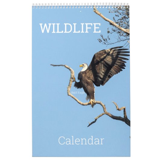 Wildlife Calendar Kalender (Hoes)