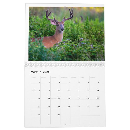 Wildlife Calendar Kalender (Mar 2026)