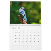Wildlife Calendar Kalender (Feb 2026)