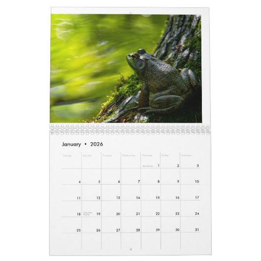 Wildlife Calendar Kalender (Jan 2026)