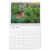 Wildlife Calendar Kalender (Mar 2027)
