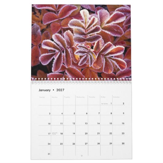 Wildlife Calendar Kalender (Jan 2027)