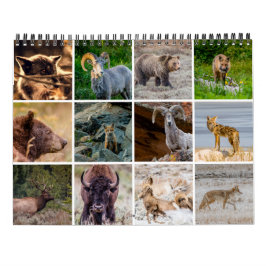 Wildlife Calendar Kalender