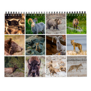 Wildlife Calendar Kalender