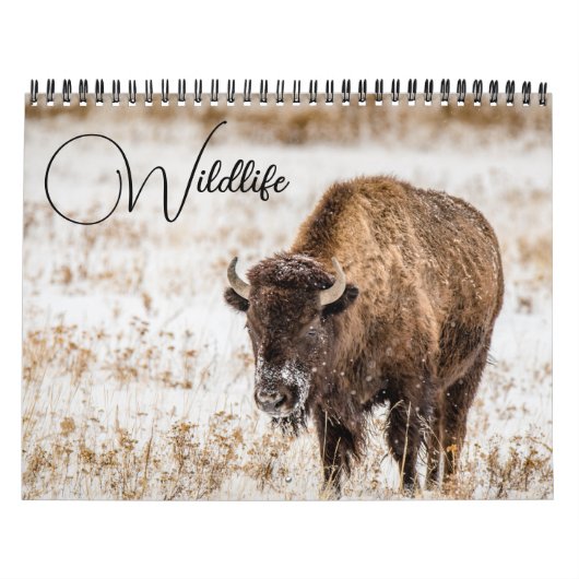 Wildlife Calendar Kalender (Hoes)