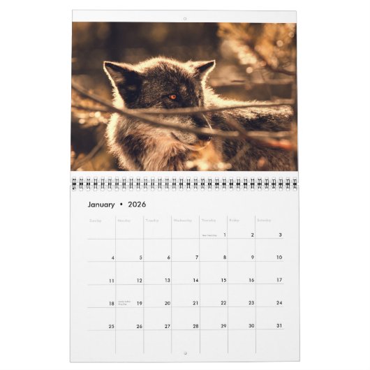Wildlife Calendar Kalender (Jan 2026)
