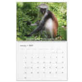 Wildlife Calendar Kalender (Jan 2027)