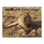 Wildlife Calendar Kalender (Hoes)