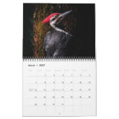 Wildlife Calendar Kalender (Mar 2027)