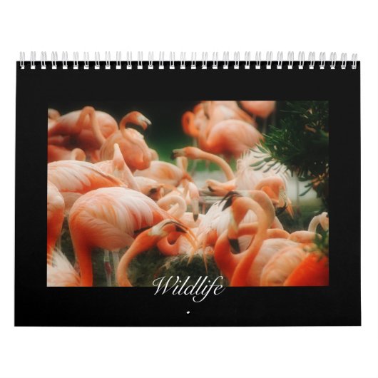 Wildlife Calendar Kalender (Hoes)