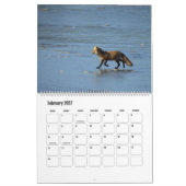 Wildlife Calendar, Red Foxes Kalender (Feb 2027)