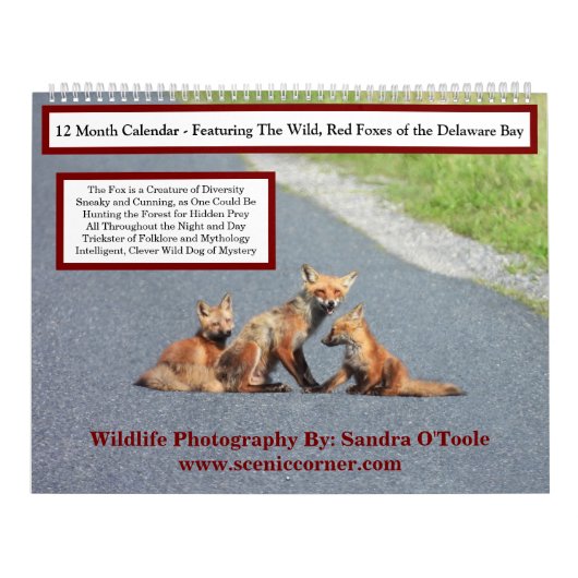 Wildlife Calendar, Red Foxes Kalender (Hoes)