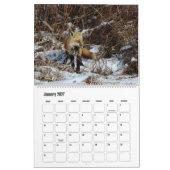 Wildlife Calendar, Red Foxes Kalender (Jan 2027)
