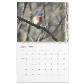 Wildlife Calendar, Songbirds, Wild Birds Kalender (Mar 2026)